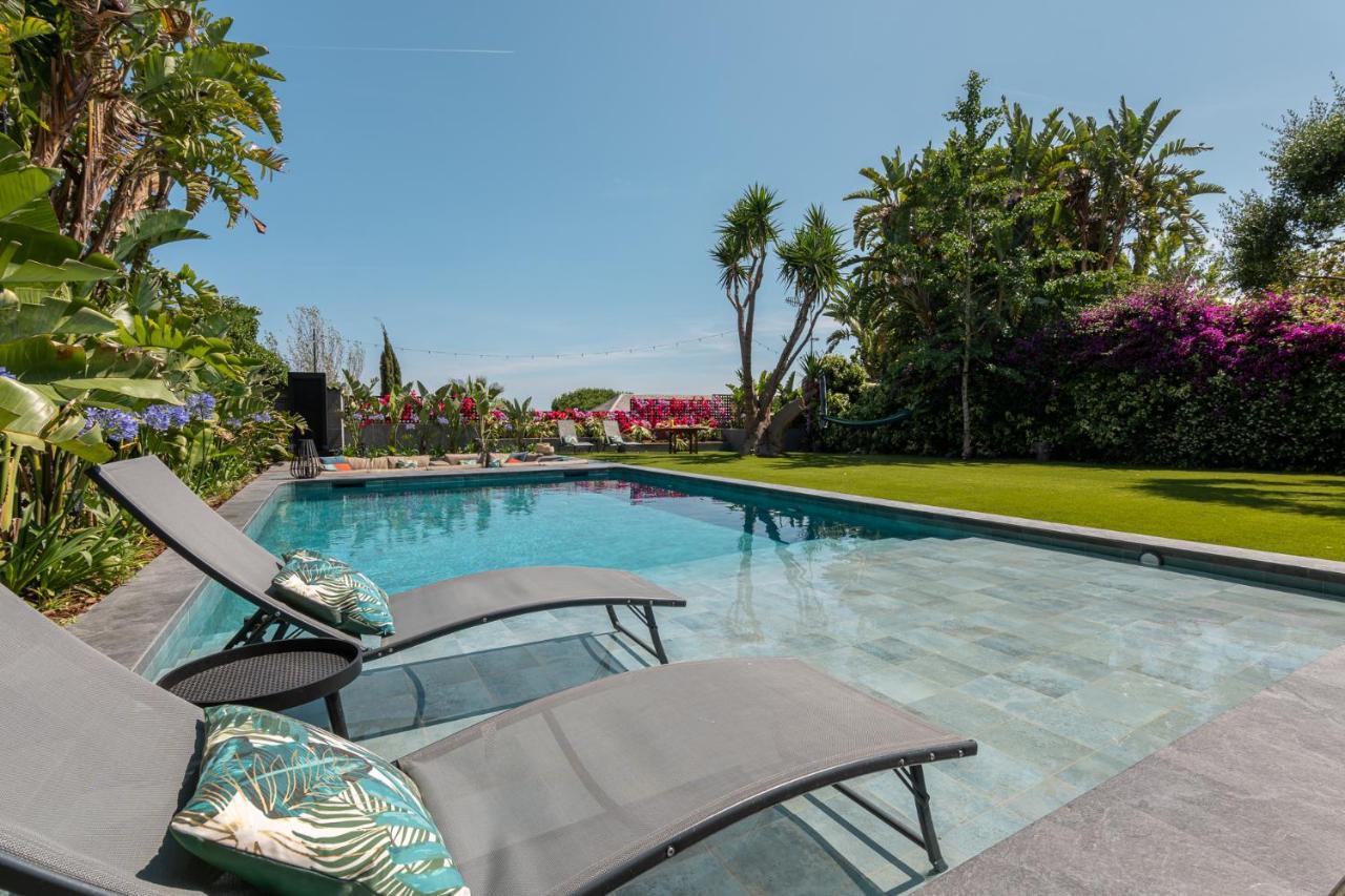 Villa Barcelona'S Tropical Oasis Sant Just Desvern Esterno foto